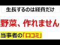 JA全農、肥料最大14.5％値上げできゅうりもトマトもブドウも・・・農作物が作れず・出荷できずの状況が刻一刻と迫っていることがリアルに伝わるホリエモン大激怒の口コミを20件紹介します[ナフサ不足]