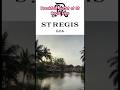 ST REGIS GOA breakfast buffet at St Regis Goa #shorts