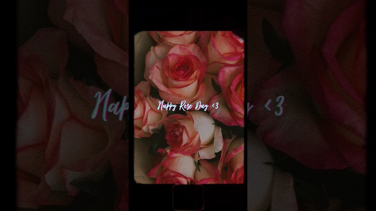 Happy Rose day 🌹❤️🥰