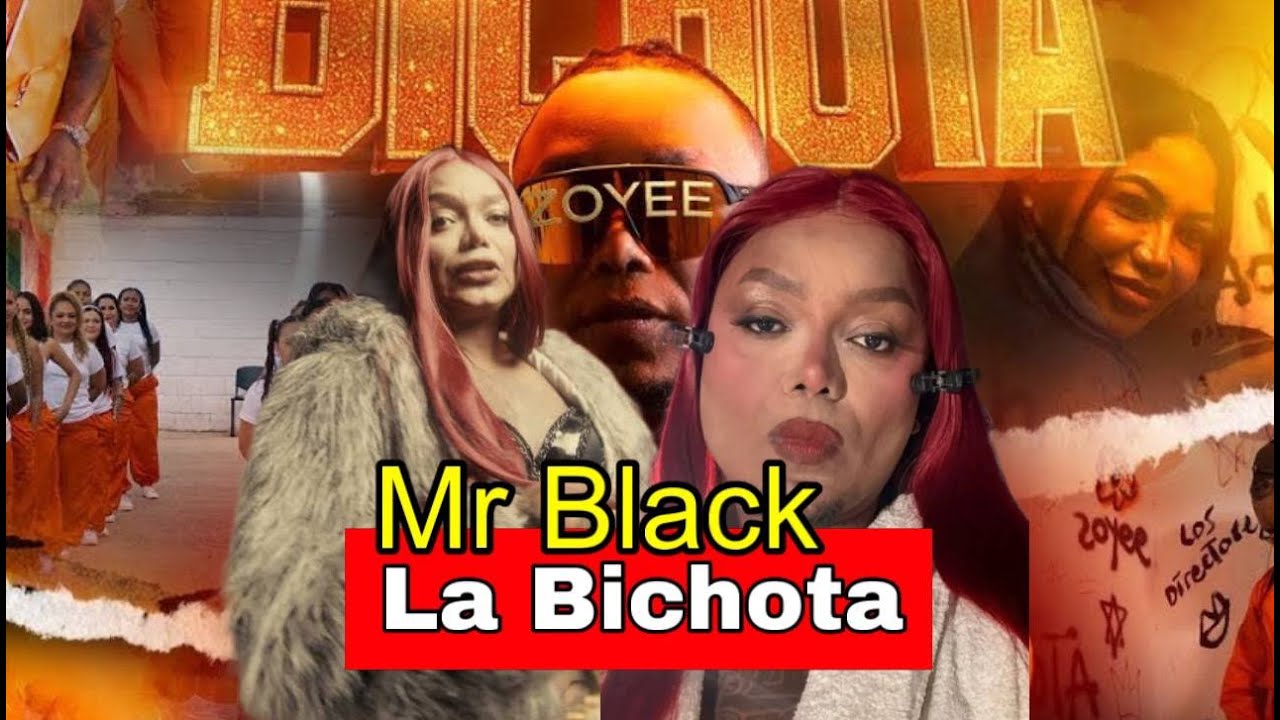 La Nueva cancion de Mr Black La Bichota recIbe criticas divididas
