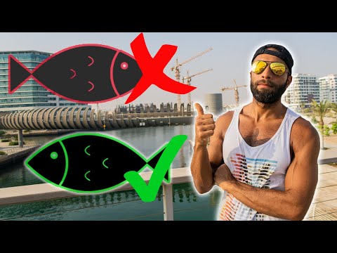 فيديو: ما هي أنواع الأسماك التي تعتبر دهونًا