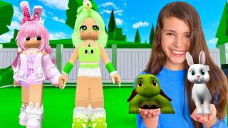 Brookhaven Vehicles Save & Cars Update: I Got the Vehicle Pack & Made a Turtle Outfit
