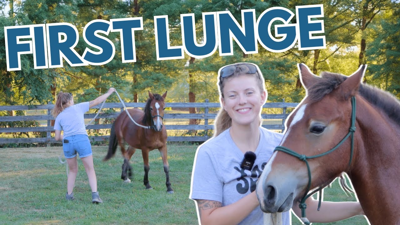 Lunging My Colt For The First Time