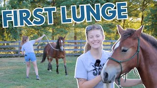 Lunging My Colt For The First Time