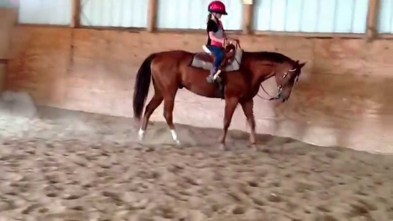 Spark in Reserve 12 yr old reg Qt horse for sale. First ever western