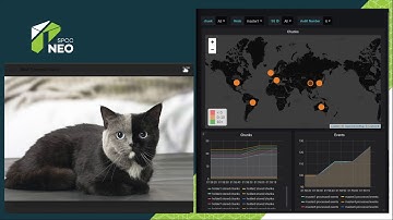 NeoFS demo on Consensus 2019