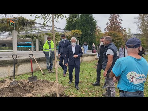 Câmara de Famalicão vai plantar mais de 700 árvores no Parque Devesa