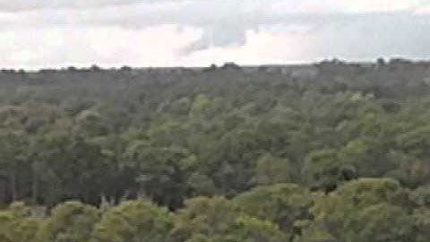 RAW VIDEO: Scud clouds forming over Loris
