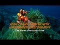 How to Get Started With Underwater Photography: Free Online Photography Lessons from Tommy Schultz