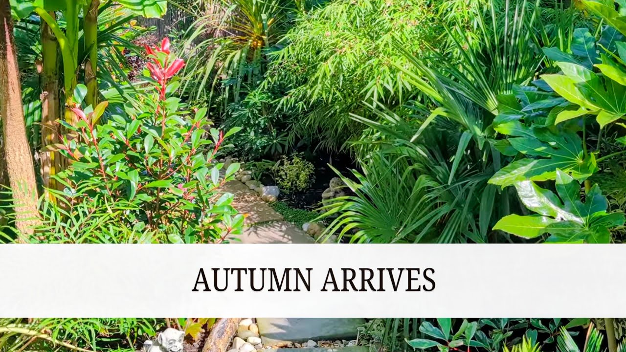 140.  Look Around My September Tropical Garden