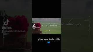 ياآلله.. سكينة  هدوء  وسلآم.?