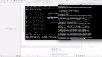 Demo of simple C++ Python message queue with Redis NOSQL