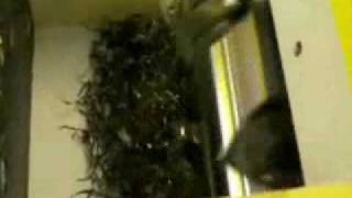Macinatore Tr 250.Wmv