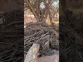 ١٥ فبراير ٢٠٢٦