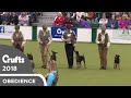 Obreedience - The Ratcatchers | Crufts 2018 の動画、YouTube動画。