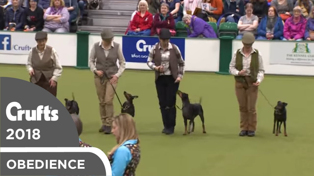 youtube crufts 2018