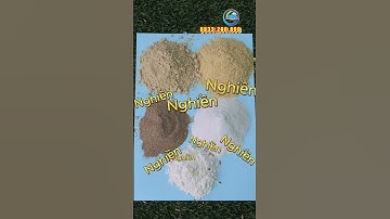 Hành Trình Tạo Ra Viên Cám Nổi Cho Cá Từ Máy Đùn Viên 100K Bình Quân Group