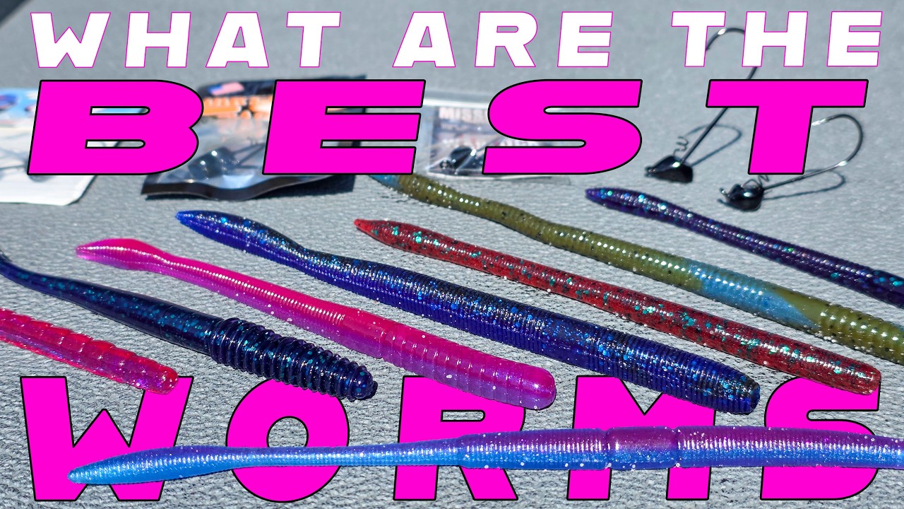 bass fishing lures early spring Top 5 Baits For Early Spring Bass Fishing! ( How To Fish Them )  Tactical  Bassin'