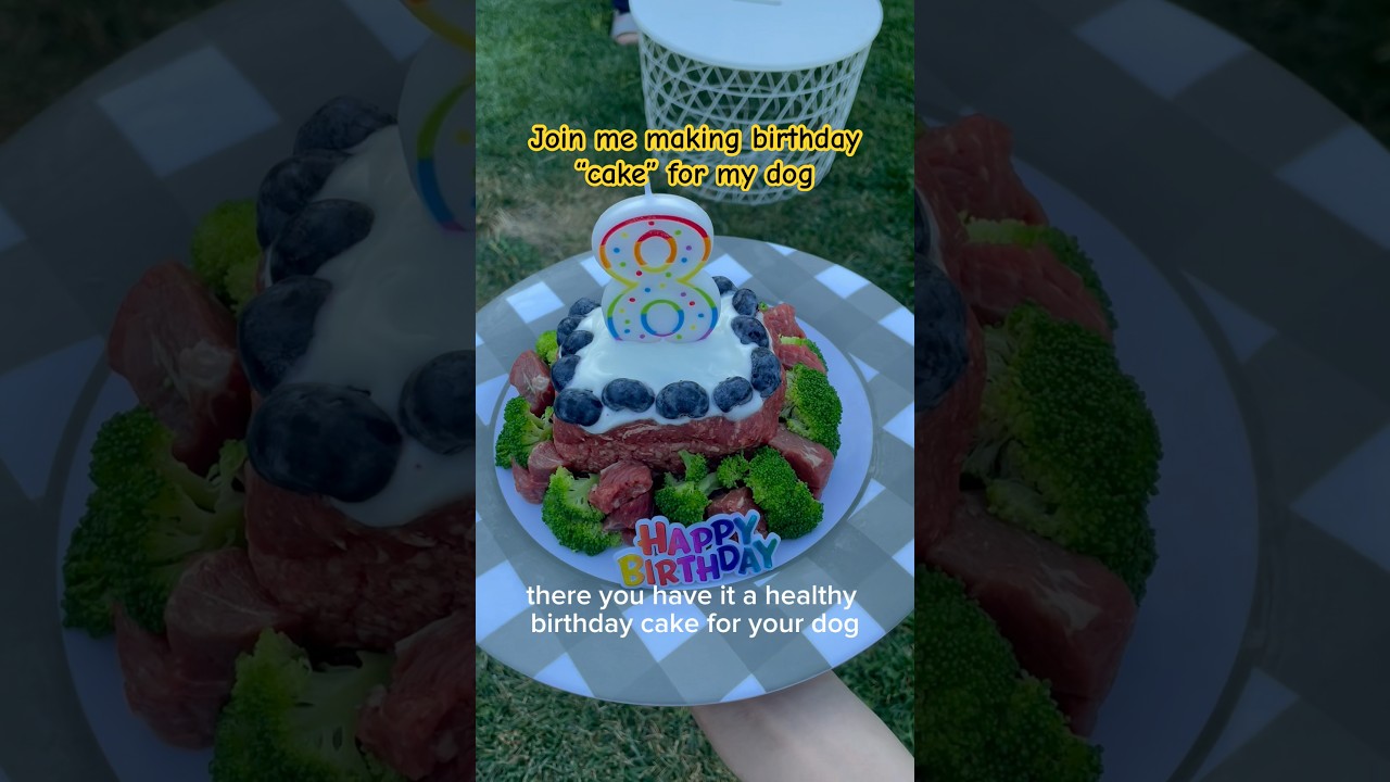 Try this no-bake birthday cake for dog 