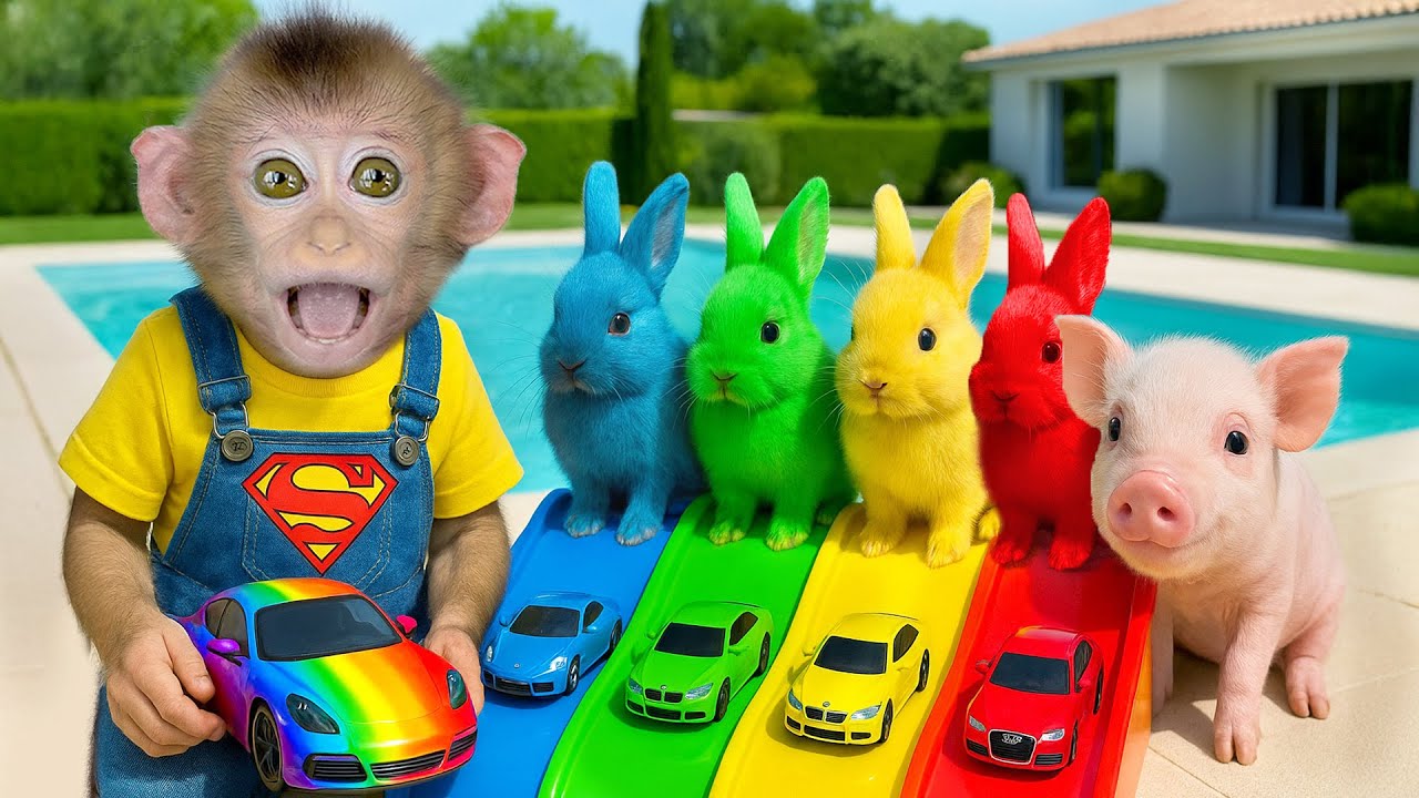 Baby Monkey races rainbow cars with colorful bunnies and a cute pig ...