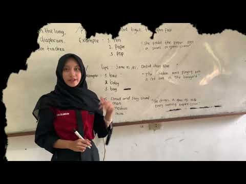 Understanding Bilabial Sounds