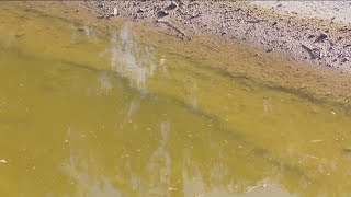 New federal survey reveals impact of Tijuana River sewage crisis