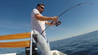 VERTICAL JIGGING a BIG STRIPED BASS