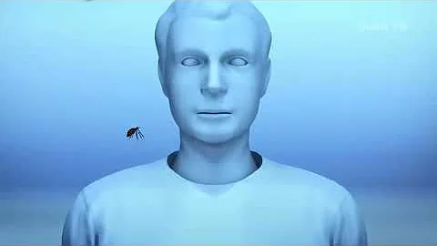 Самые опасные насекомые в мире! Лучше держитесь от них подальше!