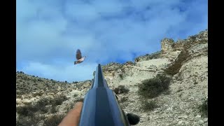 Keklik Avı 2020-02 ,Resim Çekerken Kalkan Keklik, Partridge Hunt