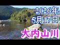 鮎釣り 背がかりDNA鮎を釣る 10㎝渇水 ひこ瀬 名もなき橋上 伊良野橋下 大内山川 2026年