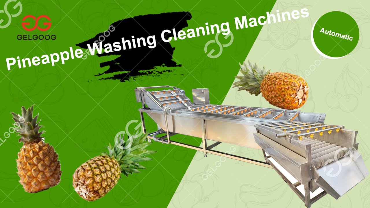 Commercial Fresh Pineapples Washing Cleaning Processing Machine 1000Kg