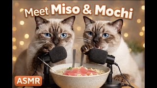 Meet Miso and Mochi