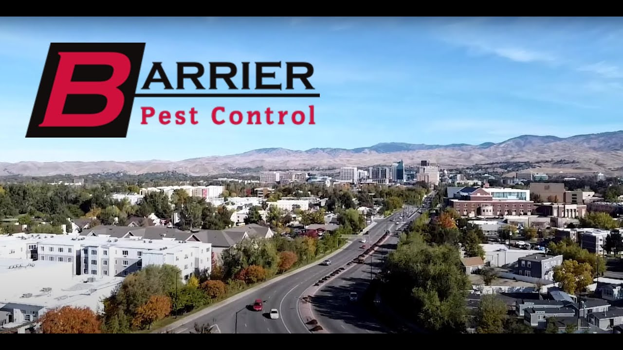 The BEST Choice for Pest Control in the Boise Area BARRIER PEST CONTROL YouTube