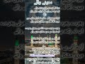 “Mera Dil Aur Meri Jaan Madinay Waly ﷺ | Heart Touching Naat | Viral Short Video 2025”