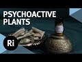 Changing Consciousness with Psychoactive Plants - with Michael Pollan and Jules Evans