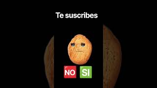 19 de octubre de 2026