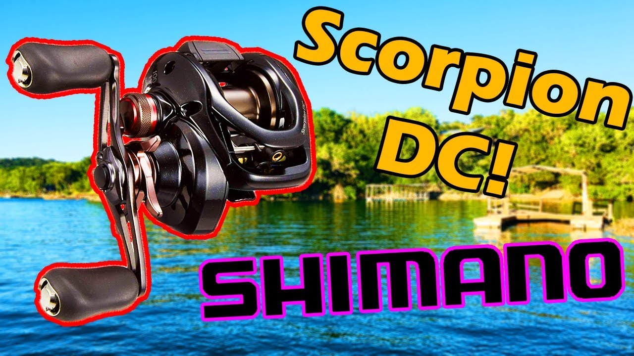 Shimano Scorpion DC Review! (How to Buy JDM Tackle Cheap!) - SLX DC, Curado  DC 