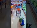Peacock Crashes Grocery Store, Shoppers Can’t Stop Laughing!