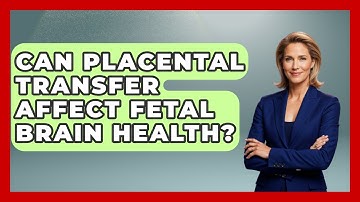 Can Placental Transfer Affect Fetal Brain Health? - Brain Development Hub