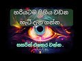 හරියටම සිහිය වඩන හැටි දැන ගන්න .
