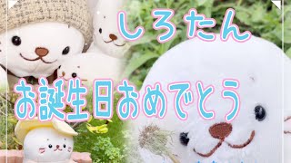 しろたん誕生日】8月8日はしろたんのお誕生日。『ぼくはしろたん』の曲