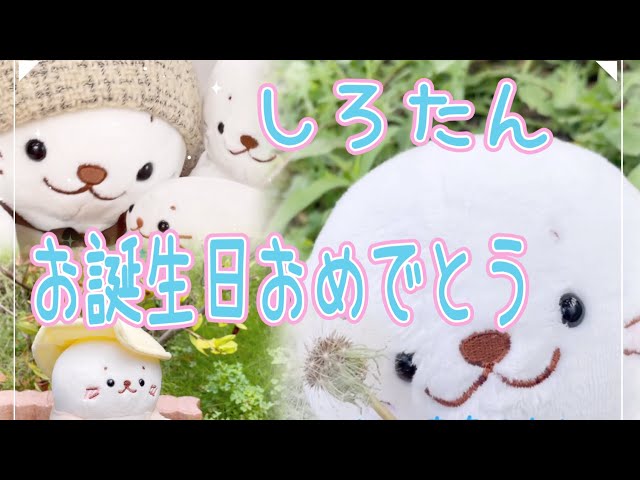 しろたん誕生日】8月8日はしろたんのお誕生日。『ぼくはしろたん』の曲