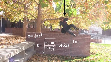 1st Place Winner - Fall 2017 College of Science Video Competition