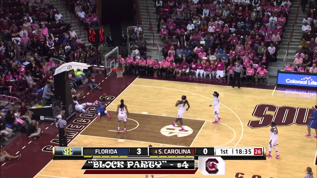 Gamecock Women's Basketball Blocks 201314 YouTube