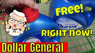 Free $10 laundry at Dollar General + free Clearance deals