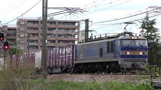 EF510-511牽引高速貨物【4K】信越本線上り3098レ