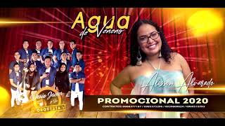 Video thumbnail of "Agua de Veneno - Darío Javier y Su Orquesta  Promocional 2020"