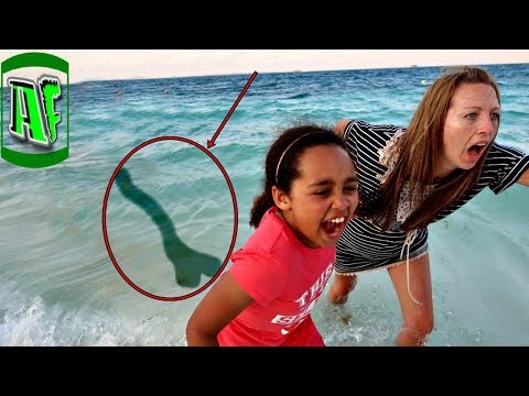 ზღვის 9 საშიში არსება