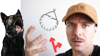 HOW TO USE A PRONG COLLAR ON YOUR DOG!