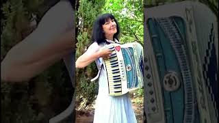 TAKA MAŁA - Wiesia ACCORDION #Shorts #accordionmusik